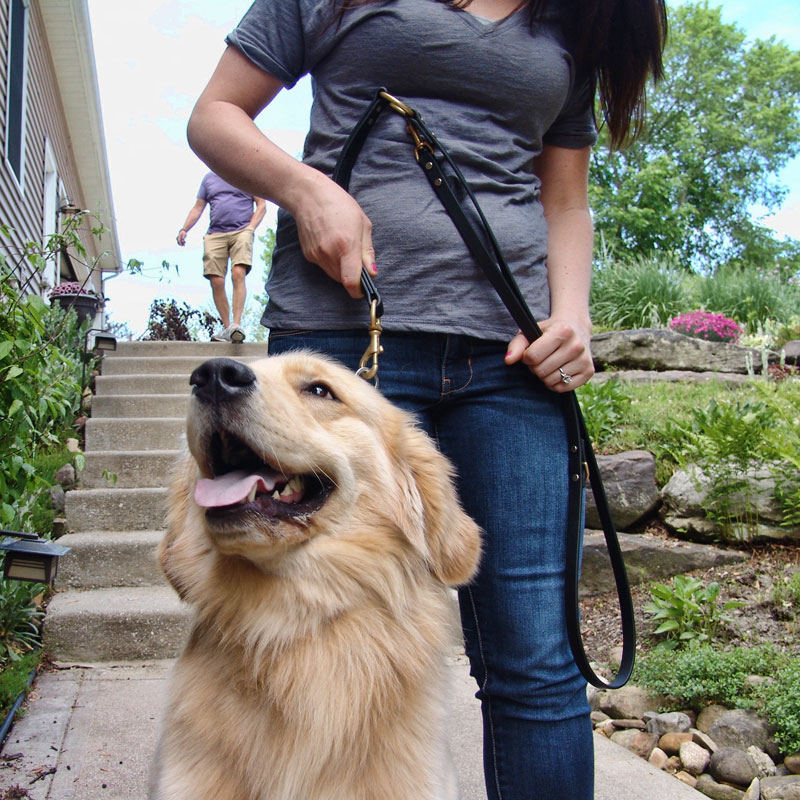 Dog Behavior Training