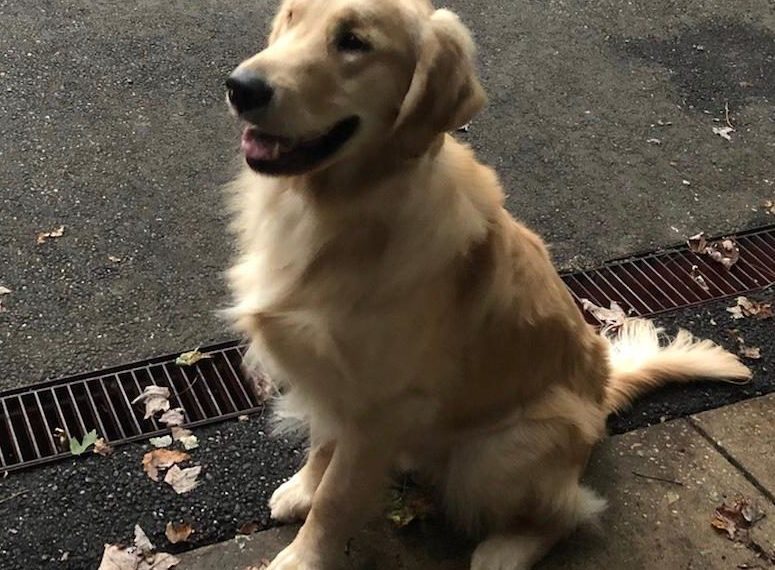 Trimmed, Clean and Handsome!