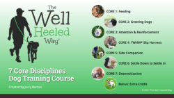 The Well Heeled Way Online Dog Training Course