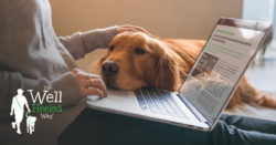 Dog Blog - Training and Behavior