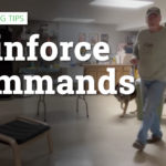 reinforce commands