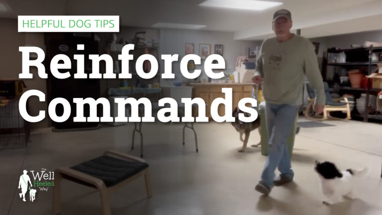 reinforce commands