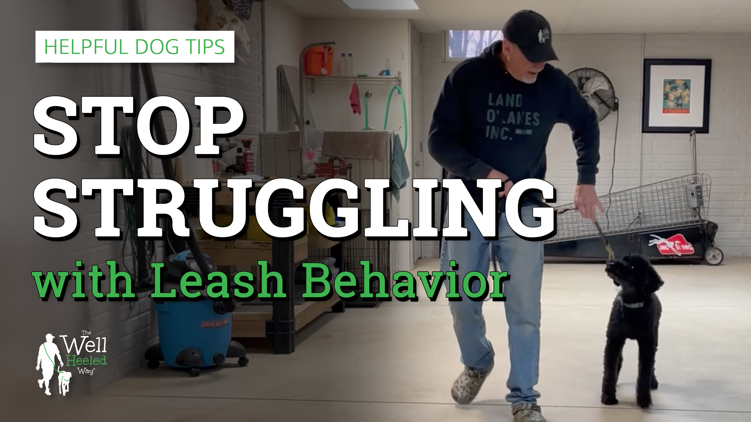 Leash behavior tips