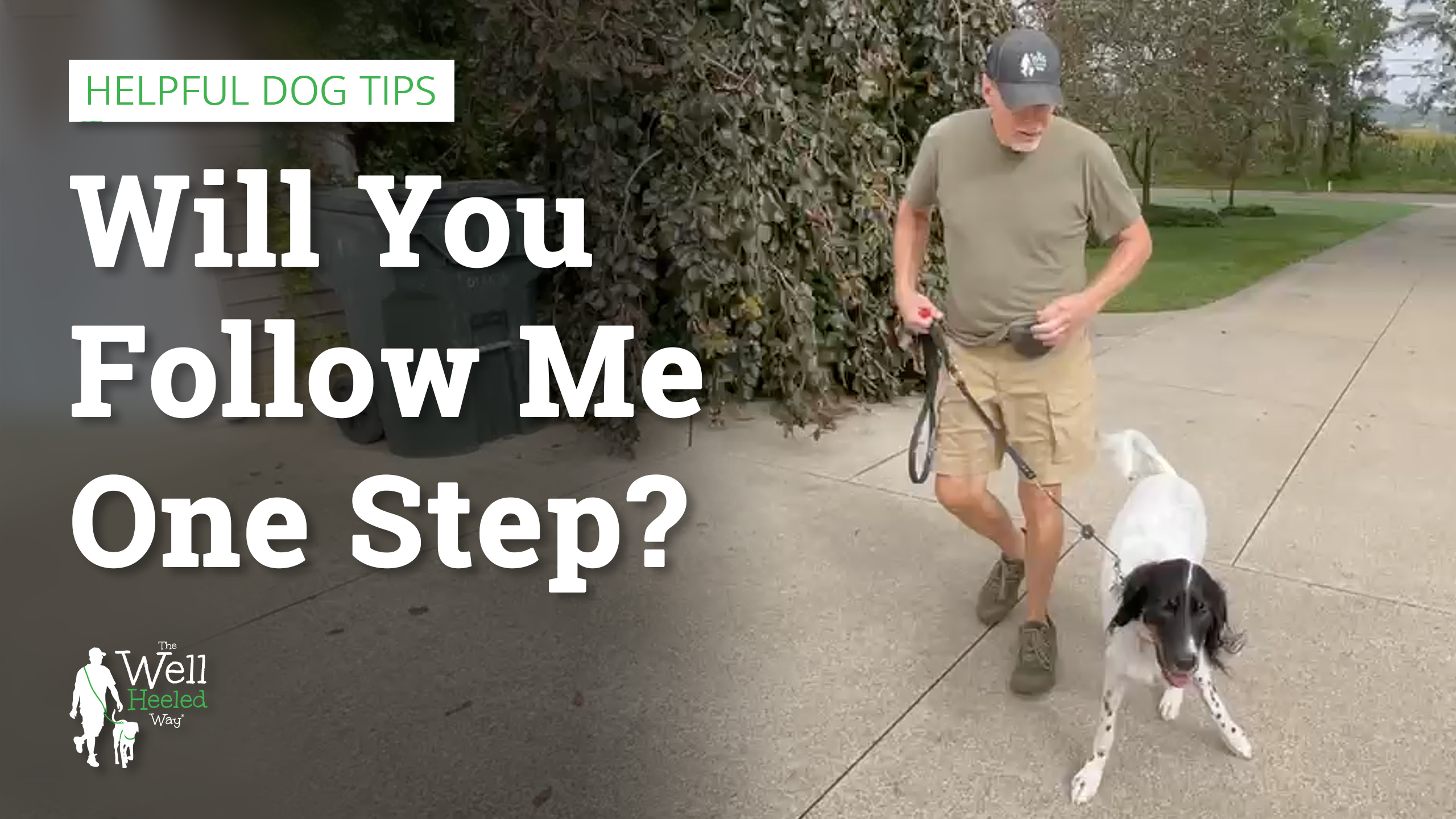 Walking Your Dog: Will You Willingly Follow Me ONE STEP?
