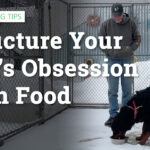 learn how to be in control of your dog's food drive