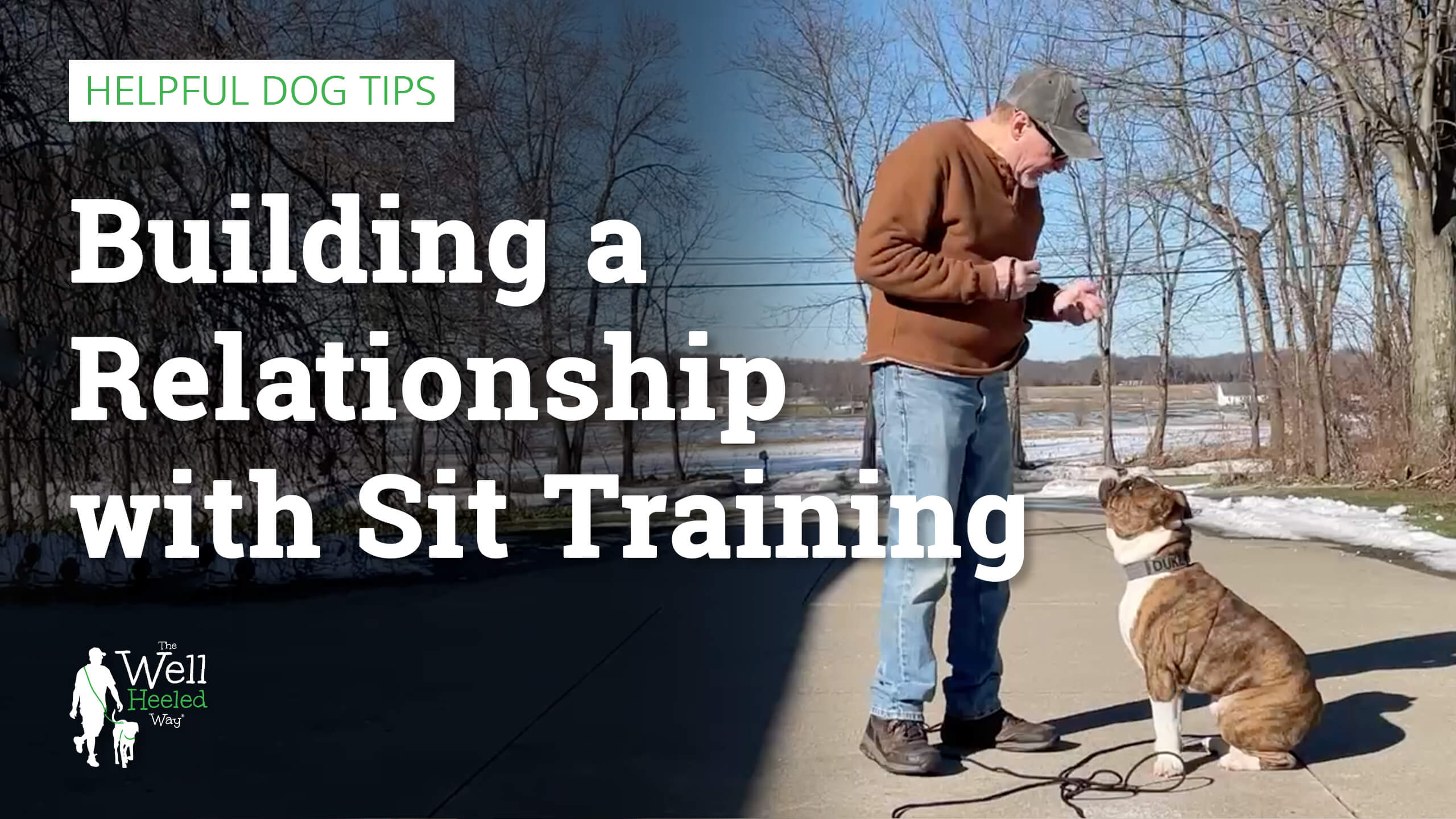 Sit Training to Build Relationship
