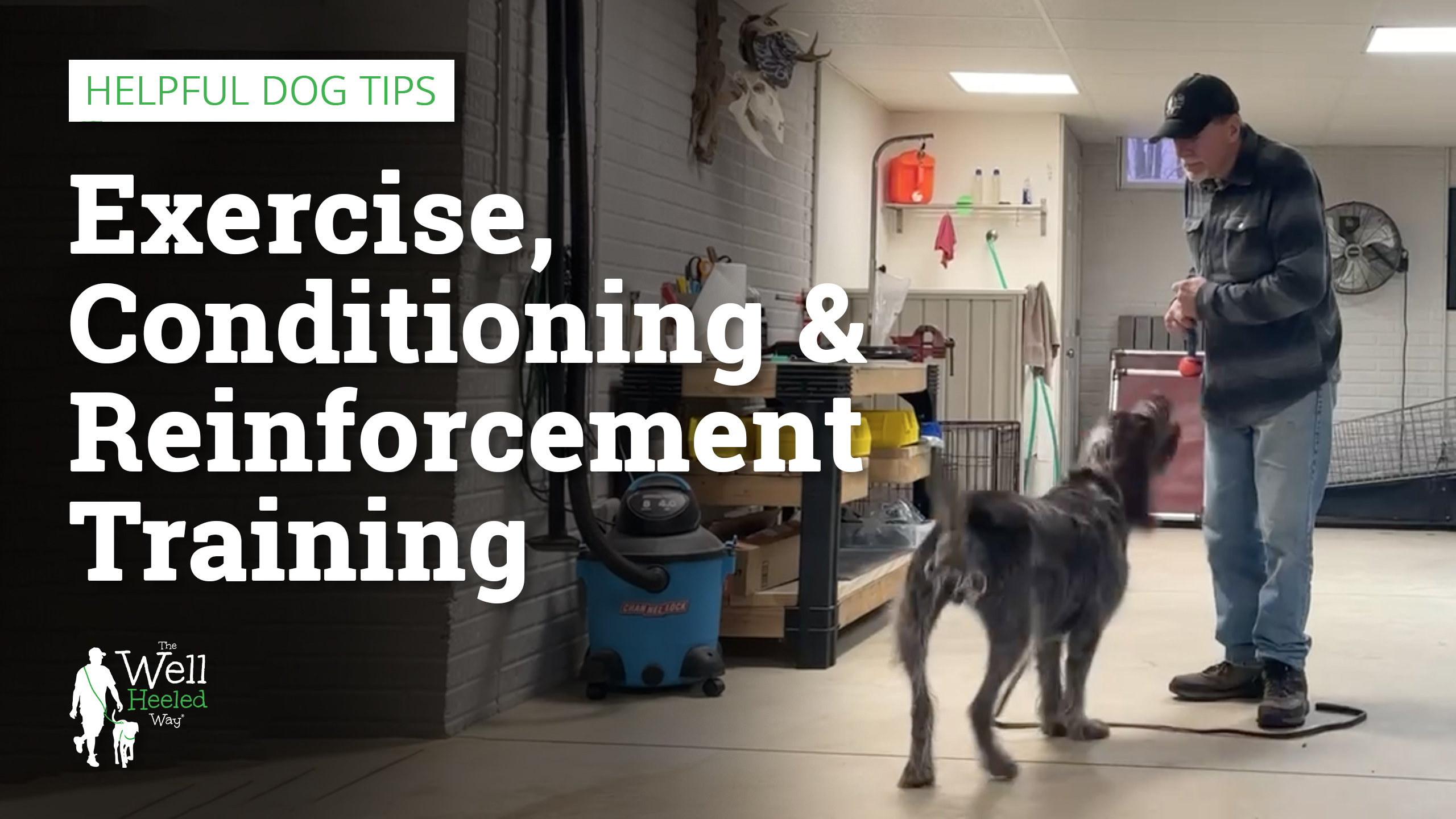 Exercise, Conditioning and Reinforcement Training 