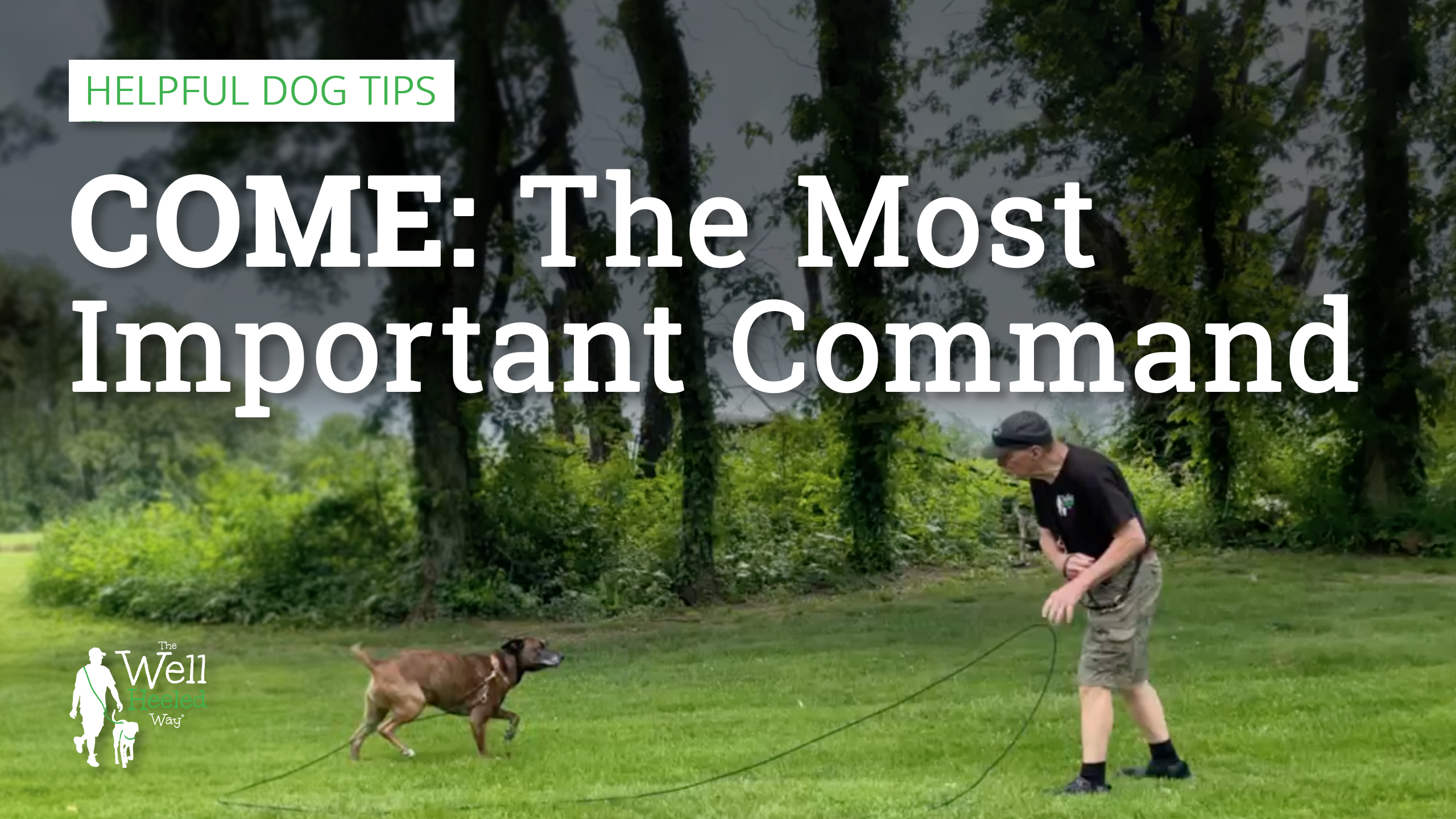 come: the most important command