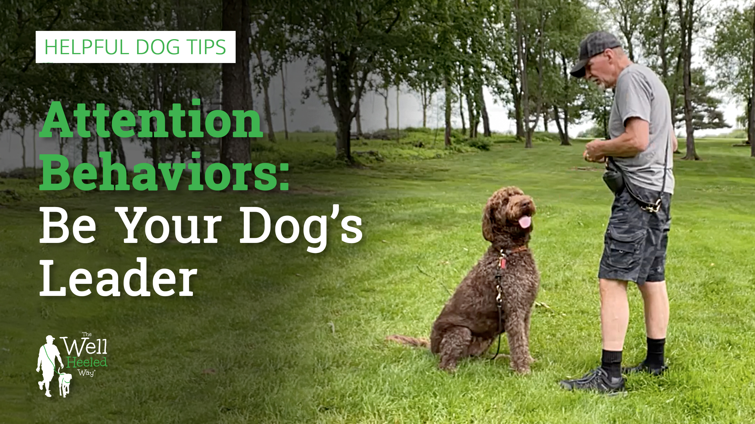 Attention Behaviors: Be Your Dog’s Leader
