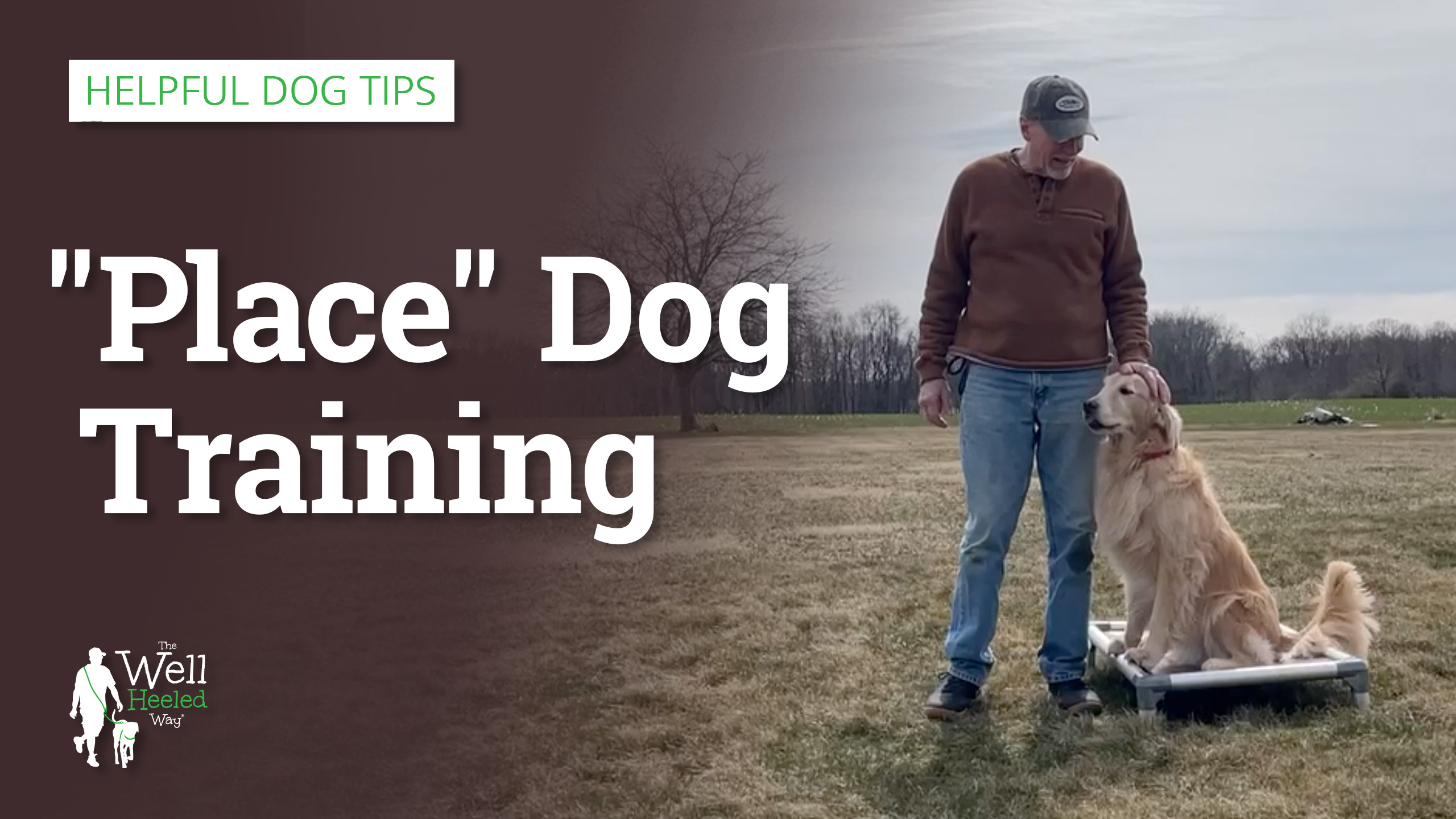 “Place” Command – Dog Training