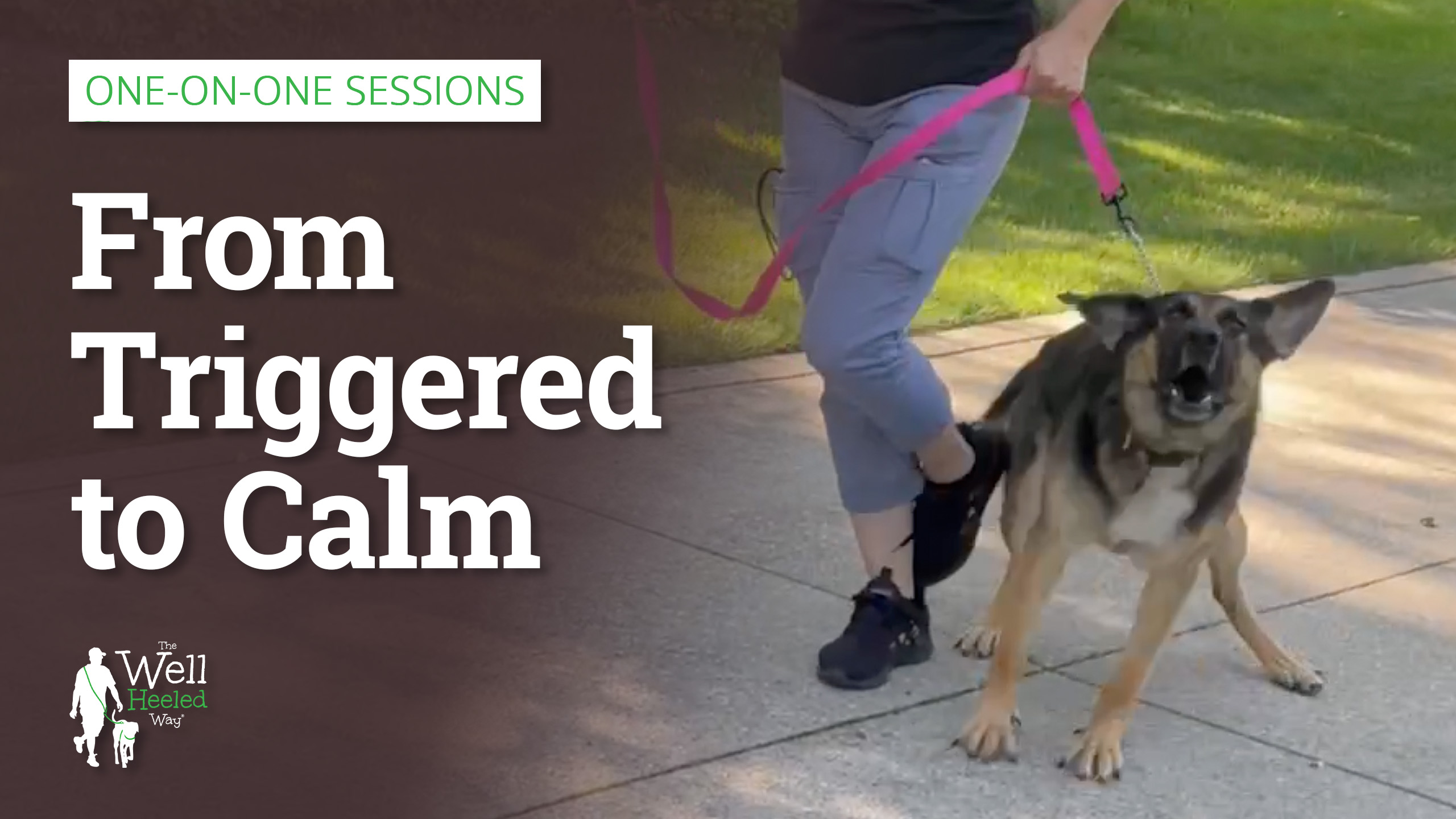 One-on-One Sessions — From Triggered to Calm