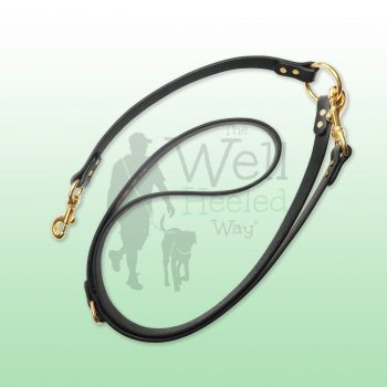 TWHW-Hands-Free-Leash TWHW Hands-Free Leash